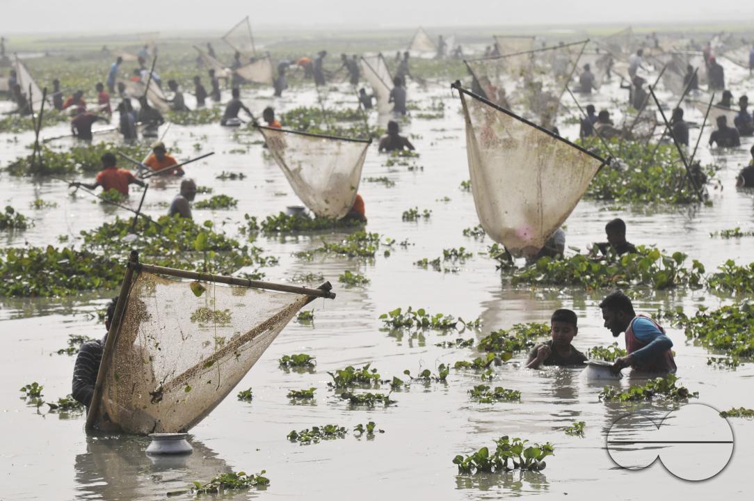 Rural people armed with Bamboo fish traps and handmade fishing nets take part in celebrating in a 100-year winter polo bawa fishing festival at the Gowahori beel of Biswanath upazila in Sylhet