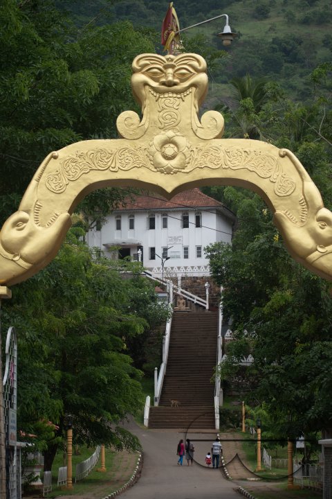 MWC031426