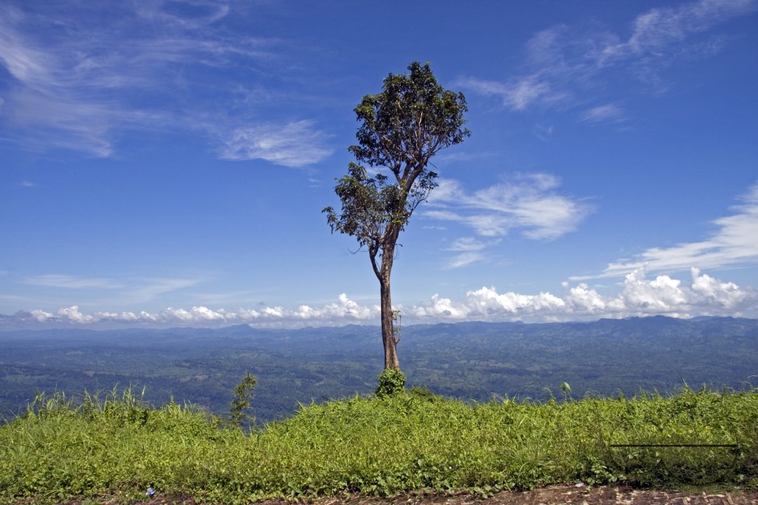 Lifestyle of Indigenous Tribal Peoples