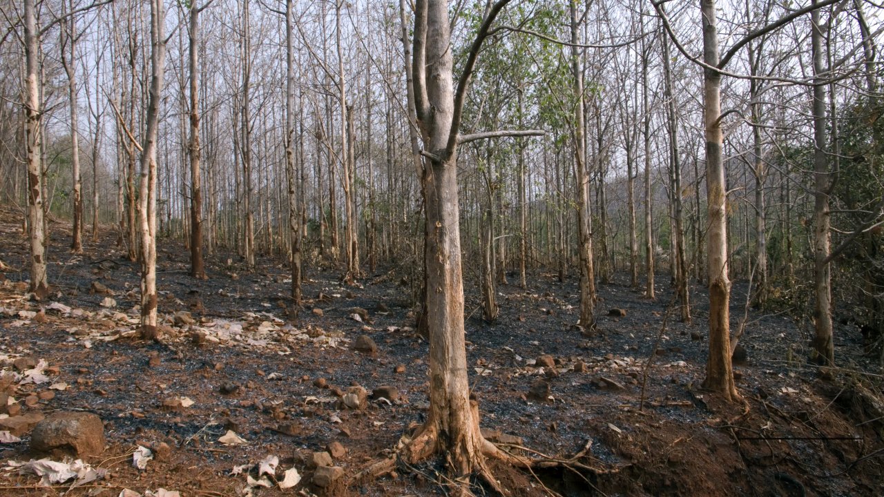 MWC004119