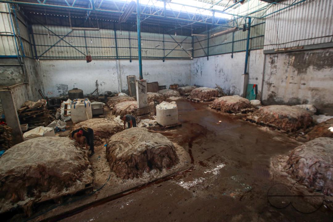 MWC056414