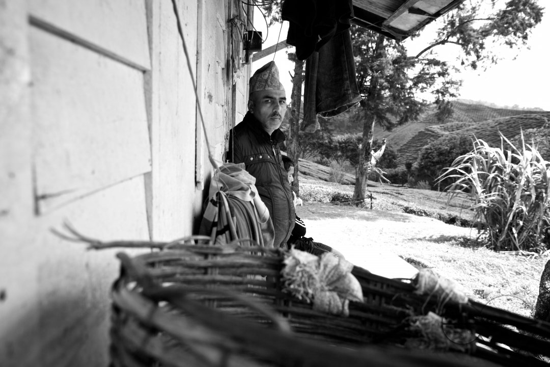 Migrants in Malaysia's tea estates