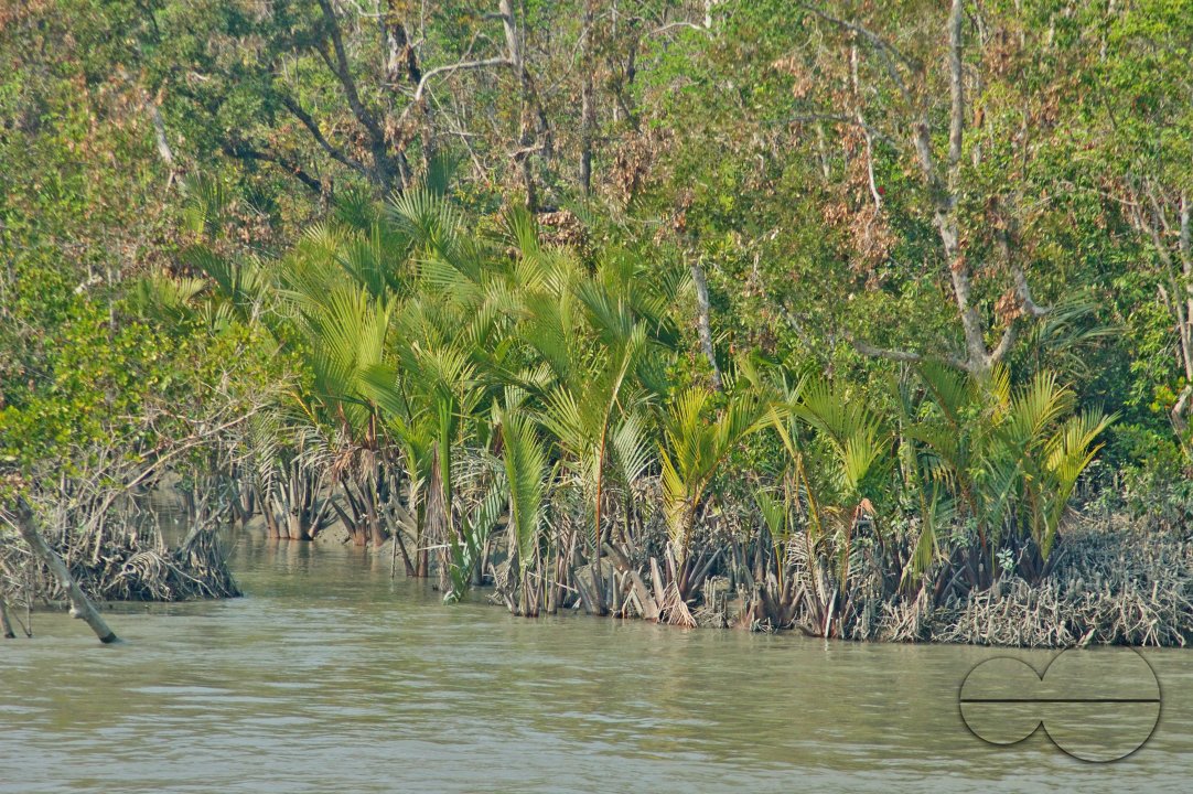 Sundarbans, Khulna, Bangladesh