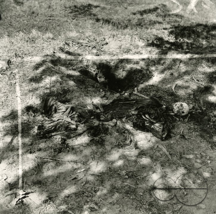 MWC008522
