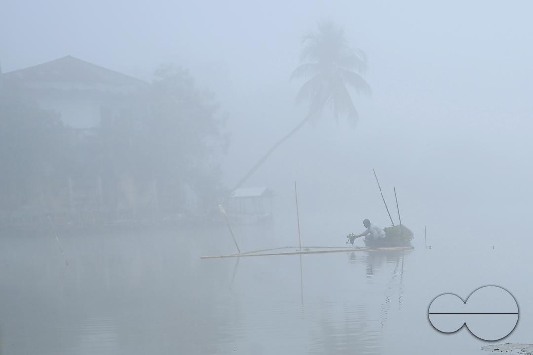 A worker collects plankton on a foggy morning at the MBB College lake at Agartala