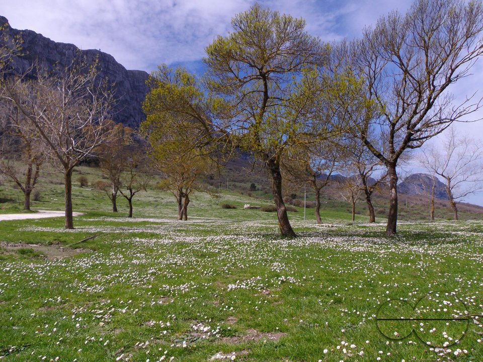 MWC036379