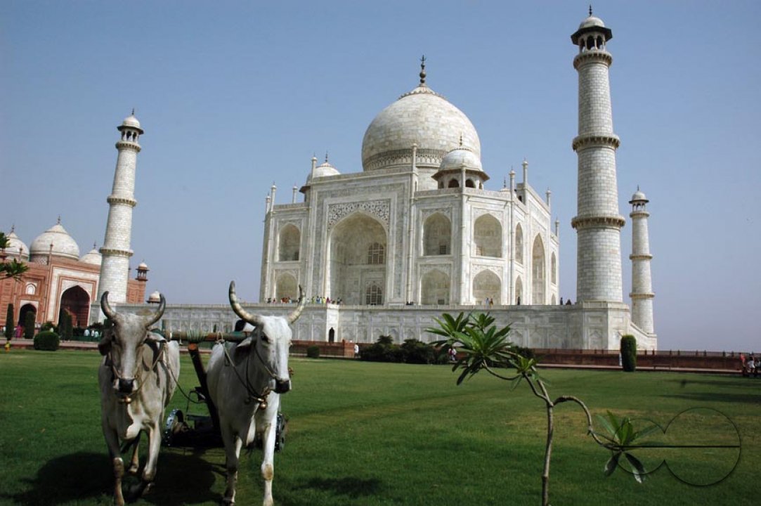 Taj Mahal