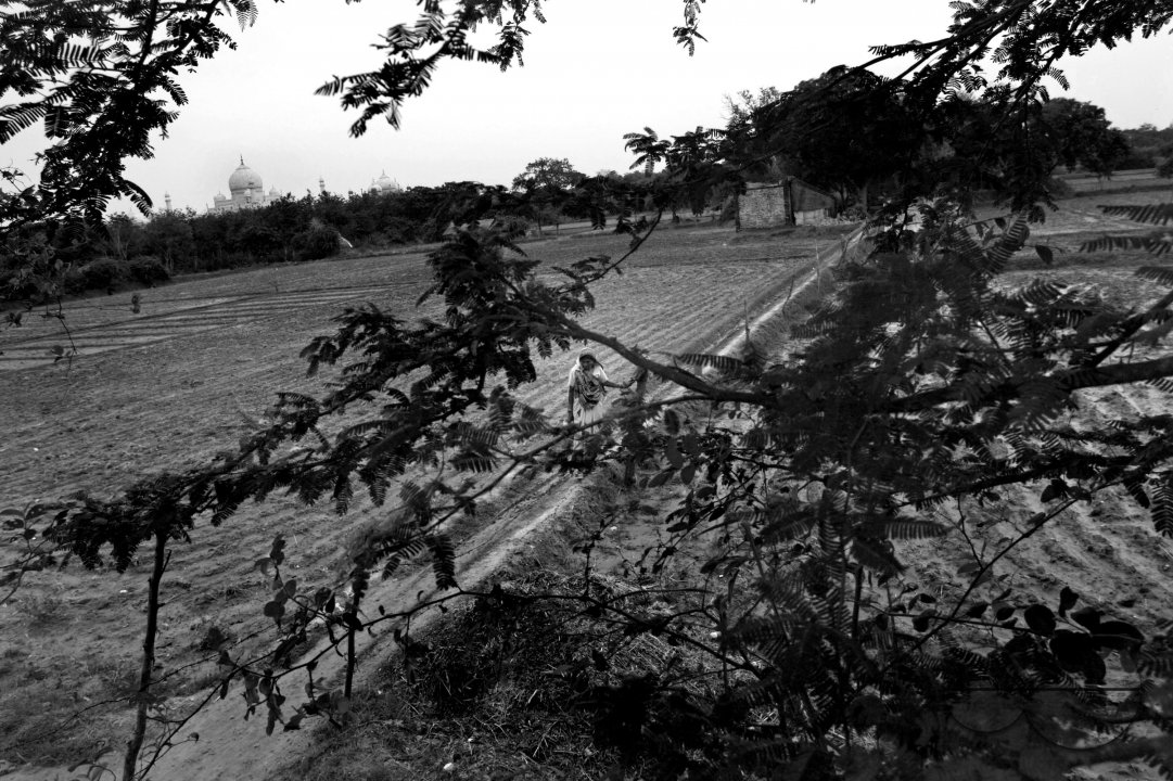 MWC024241