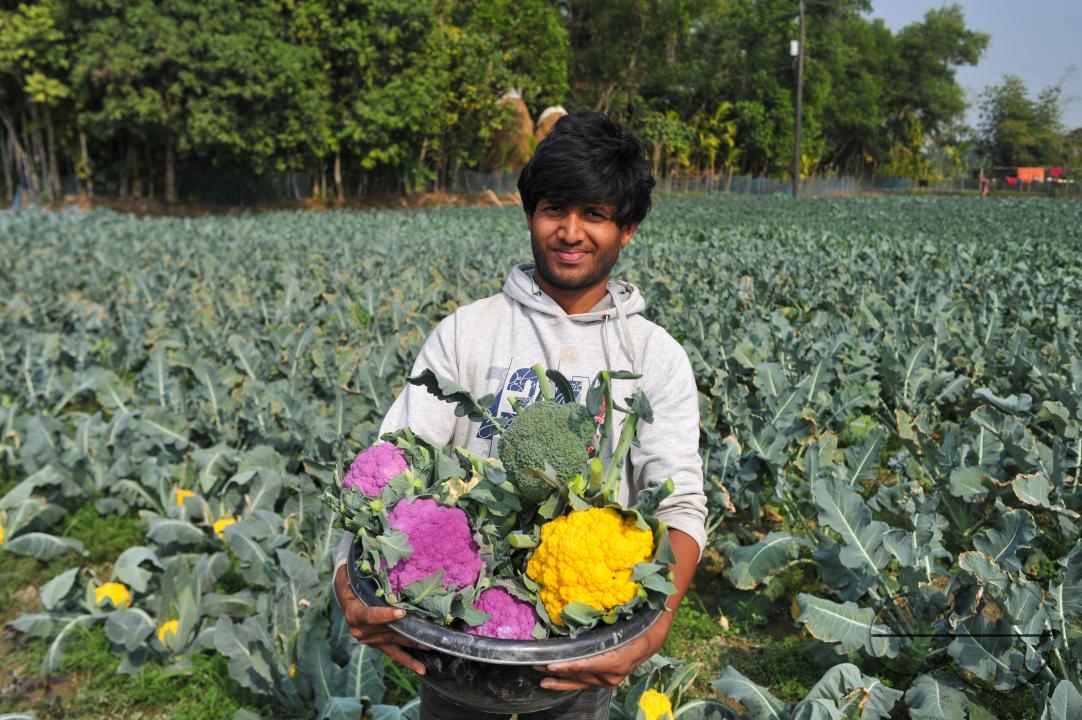 A young farmer with Valentina and Corotina, 2 varieties of cauliflower, which are Anti-diabetic and anti-cancer grown on his fields