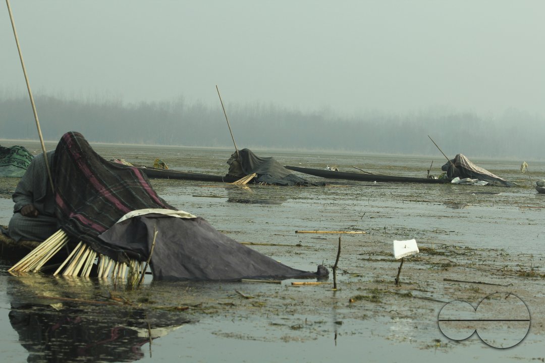 Fishing