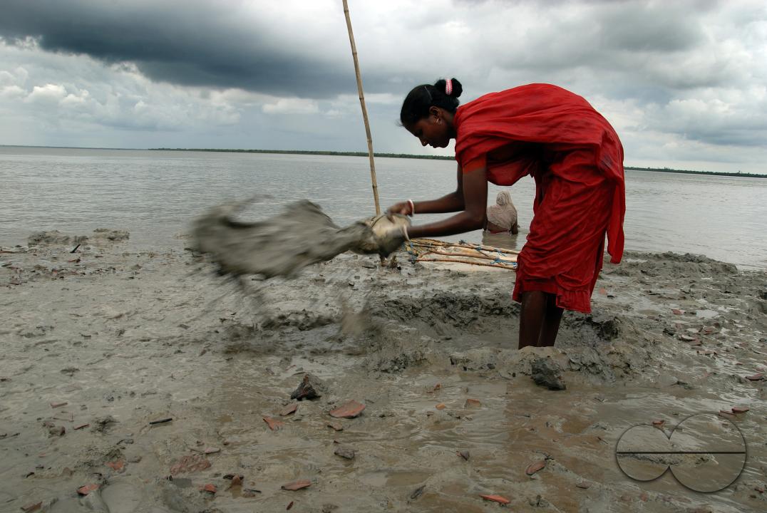 MWC058914