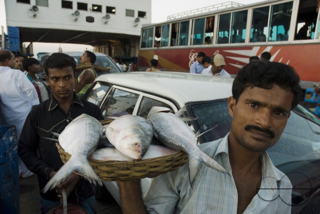 Padma River, Bangladesh