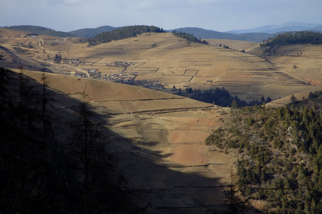 MWC004292