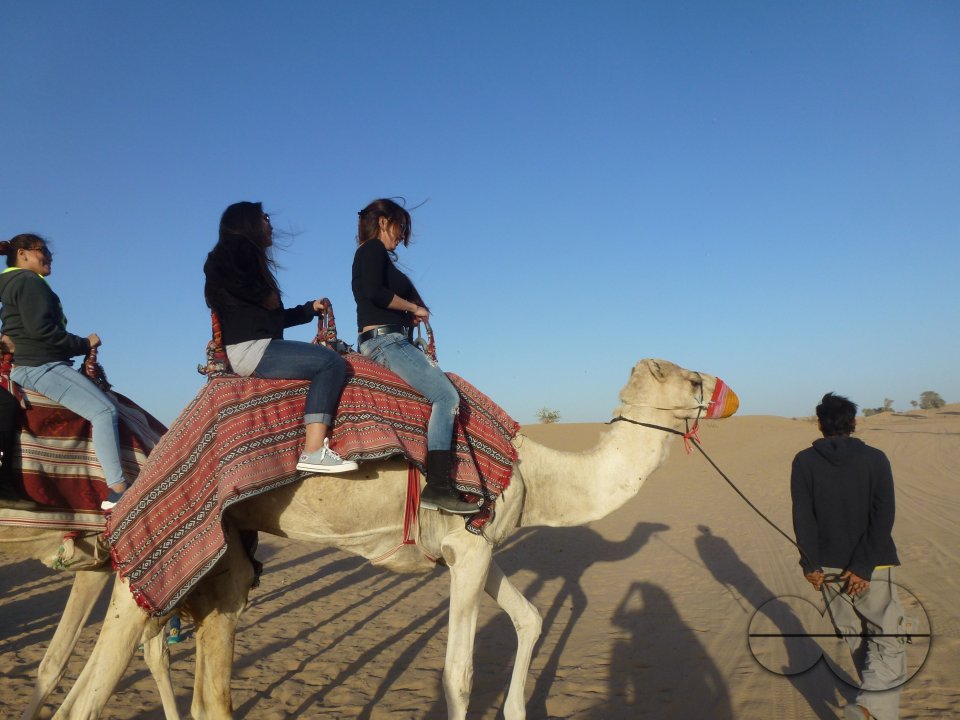 Holiday in Dubai