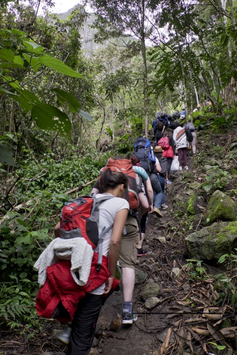 MWC026852