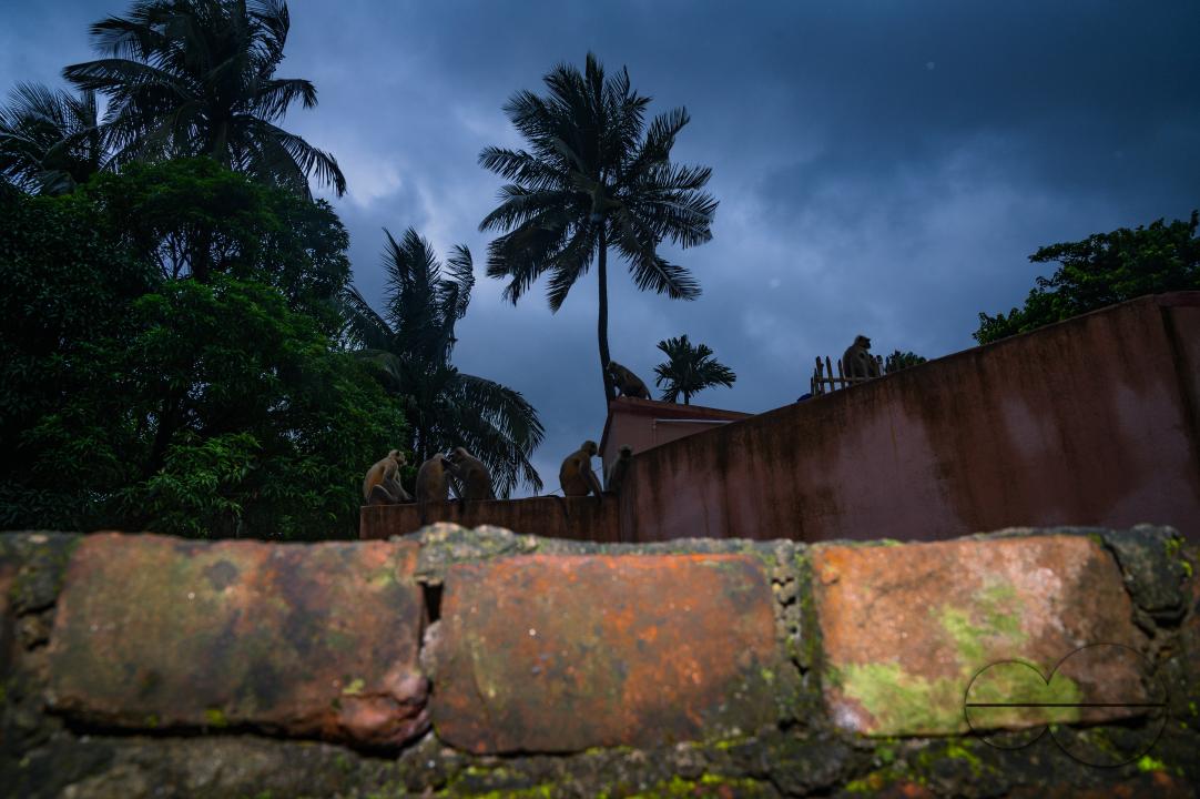 The night sky shows stormy winds with thick black clouds