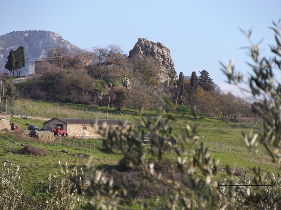 MWC036372