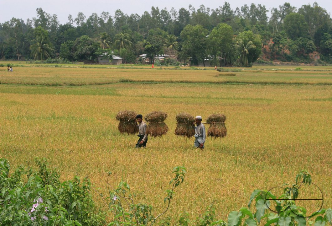MWC03057