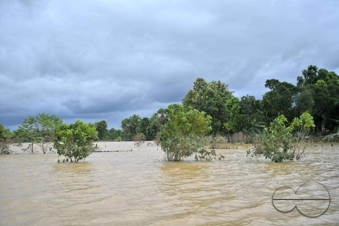 An agricultural field immersed in flooded water, outskirts of Amarpur city, 82km away from Agartala