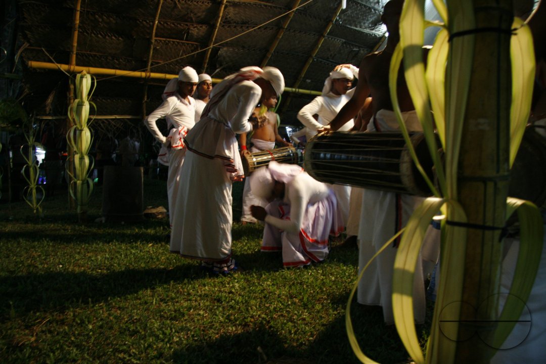 MWC020281