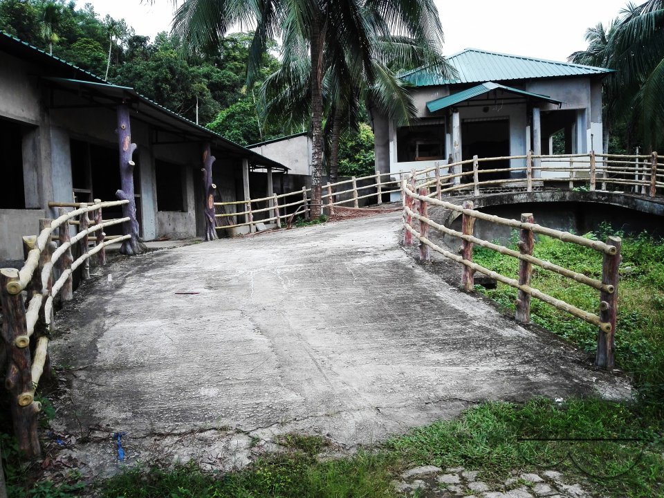 MWC031564