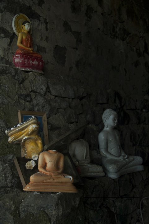 MWC020288