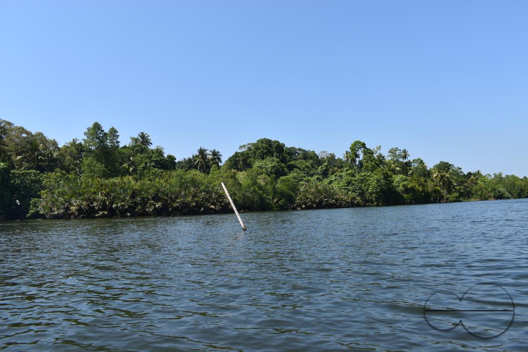 MWC044892