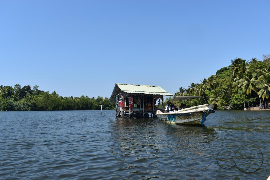 MWC044917