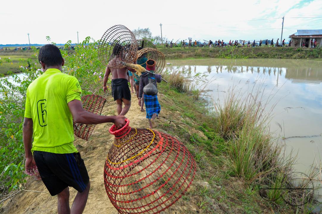 Rural people armed with Bamboo fish traps and nets take part in celebrating a 200-year winter fishing festival at the jofra beel of gasbari union of Kanaighat upazila of Sylhet, Bangladesh