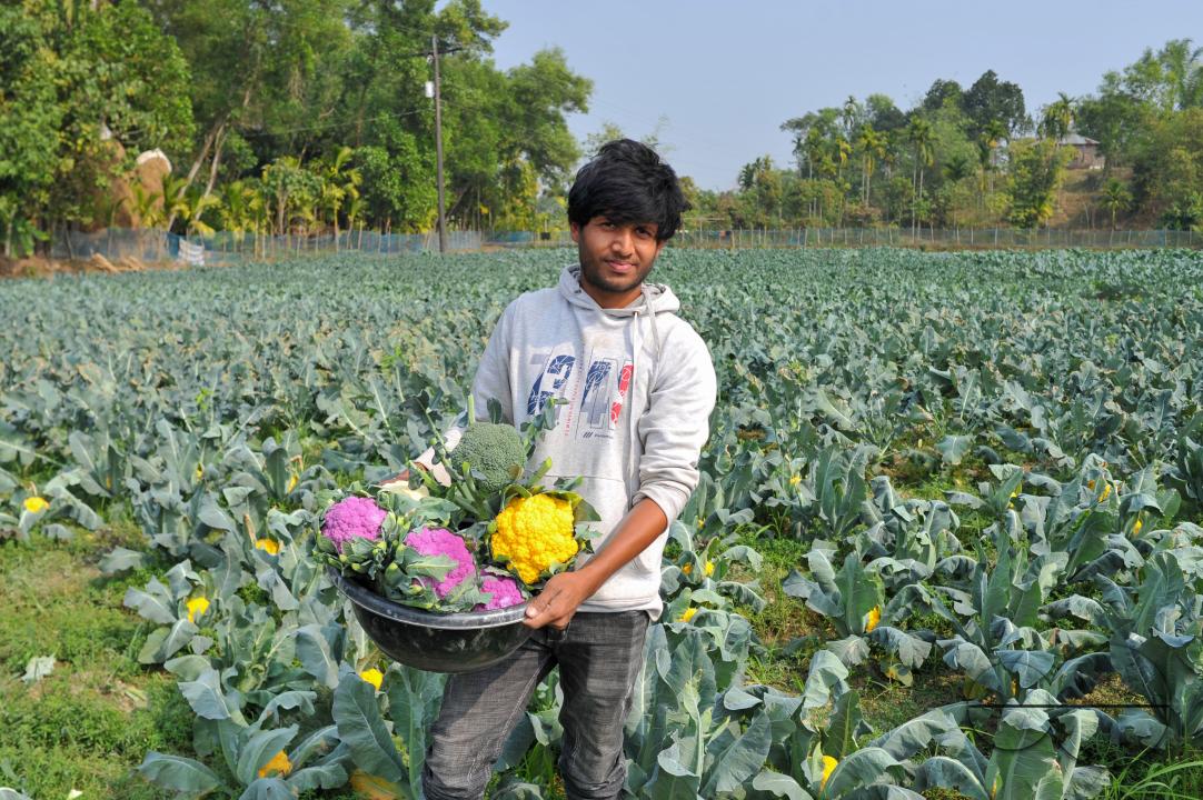 A young farmer with Valentina and Corotina, 2 varieties of cauliflower, which are Anti-diabetic and anti-cancer grown on his fields
