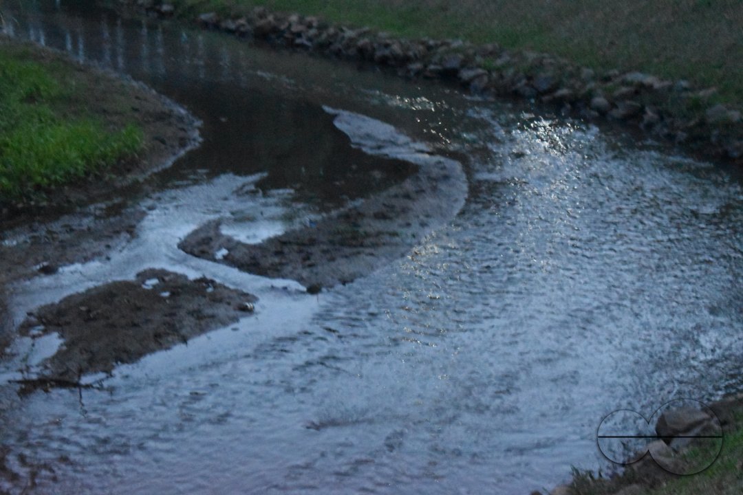 MWC040684