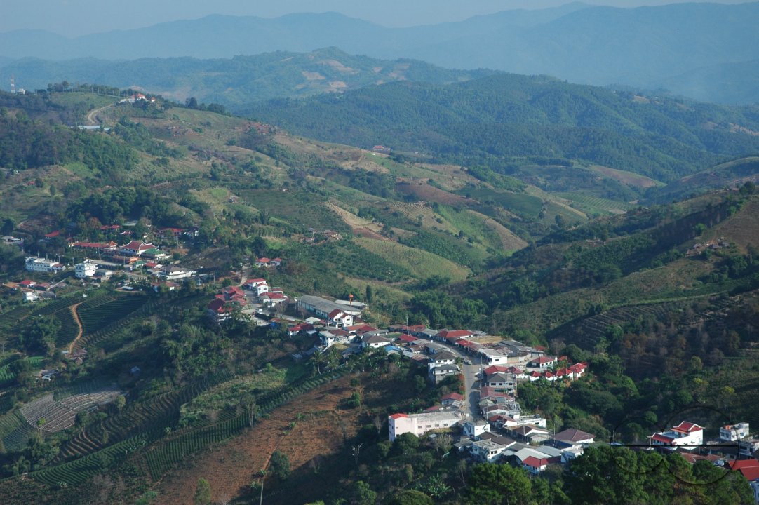 MWC012503