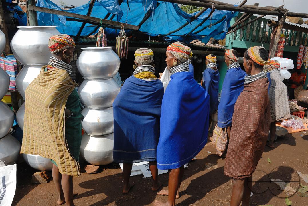 MWC058558