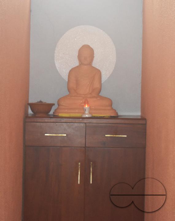 MWC049302