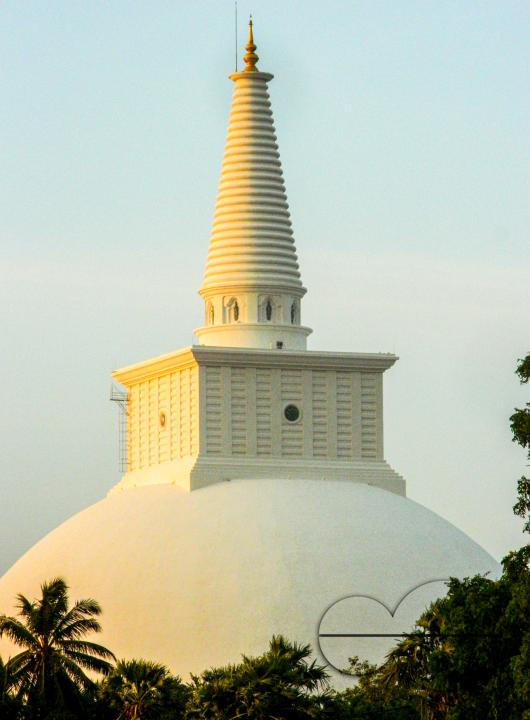 MWC052742