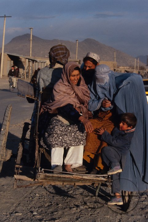 MWC009995