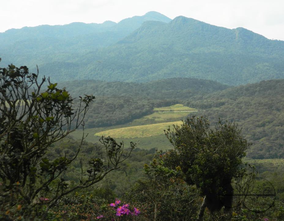 MWC052362