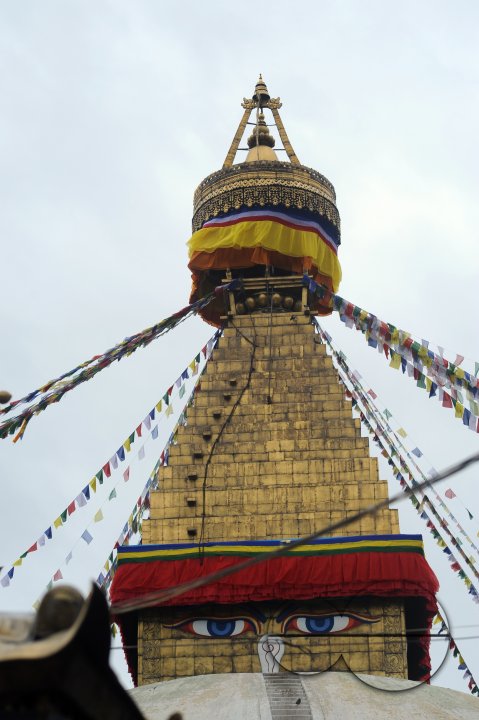 MWC024402