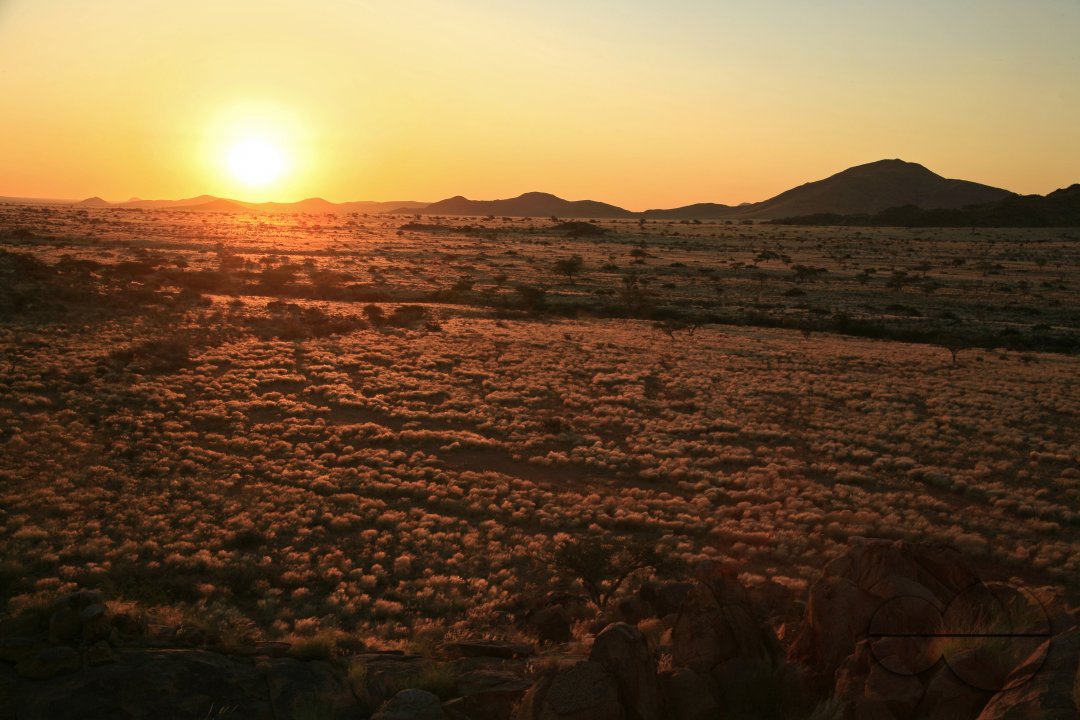 MWC023114