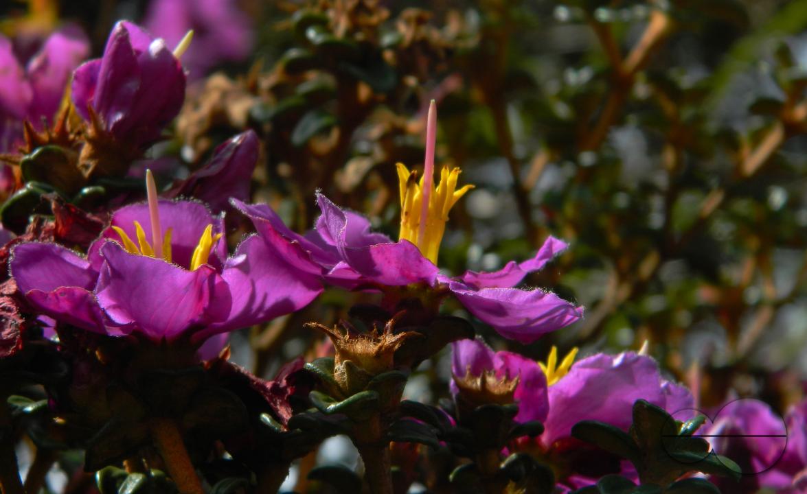 MWC052420