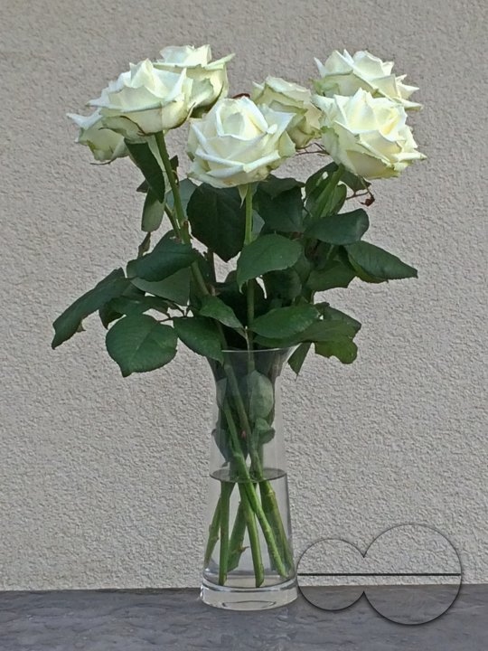 MWC033957