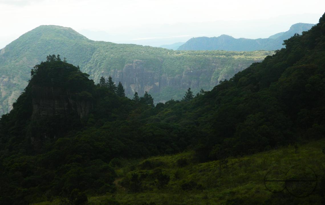 MWC052409