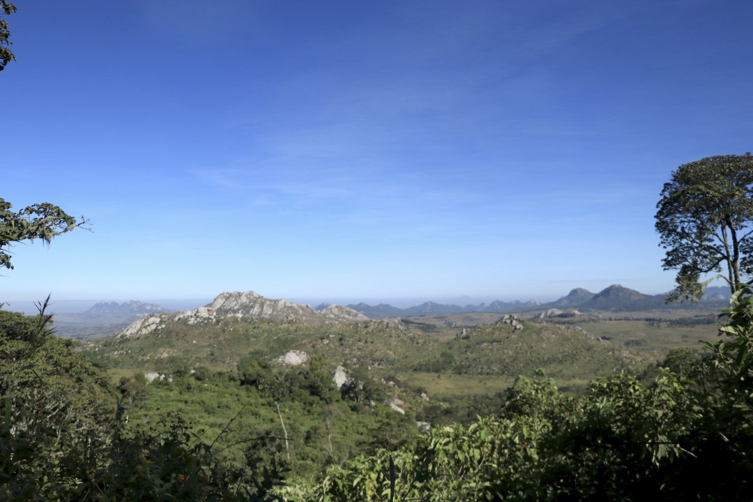 MWC041331