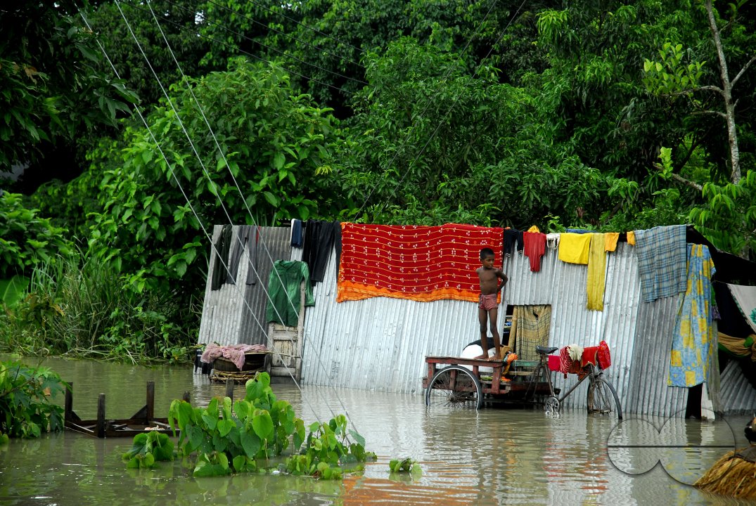 Huge damage at Sirajgonj because of flood