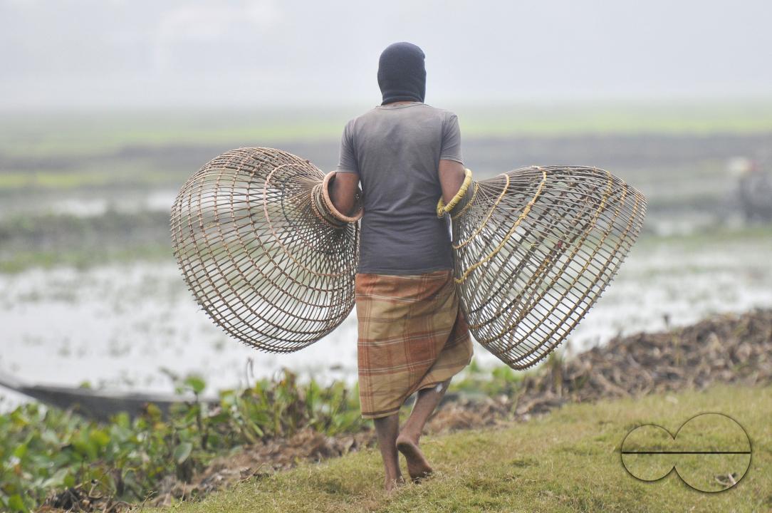 Rural people armed with Bamboo fish traps and handmade fishing nets take part in celebrating in a 100-year winter polo bawa fishing festival at the Gowahori beel of Biswanath upazila in Sylhet