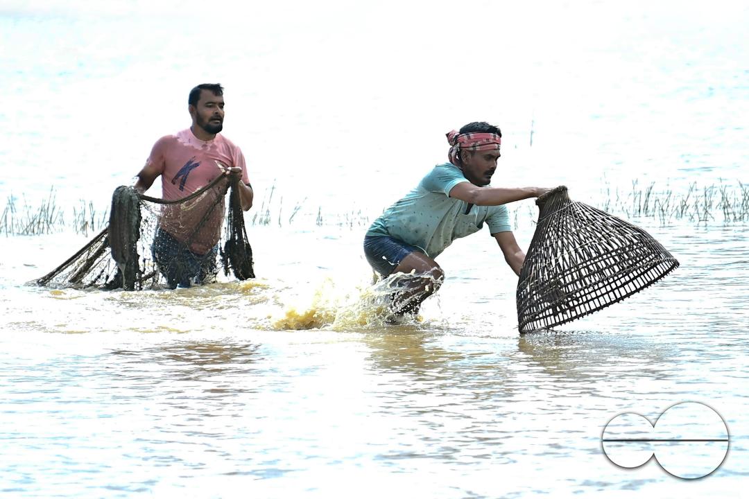 People fishing in a flooded agricultural field using traditional fishing methods in Bishalgarh, 17km away from Agartala