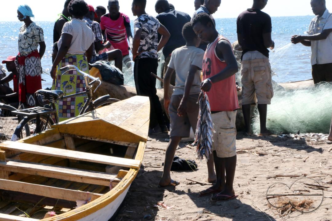 A fisherman admires his catch as many wait to receive fisherman coming to the shores of Lake Malawi in Salima, Malawi