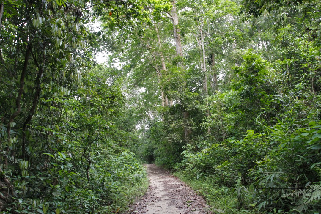 MWC004685
