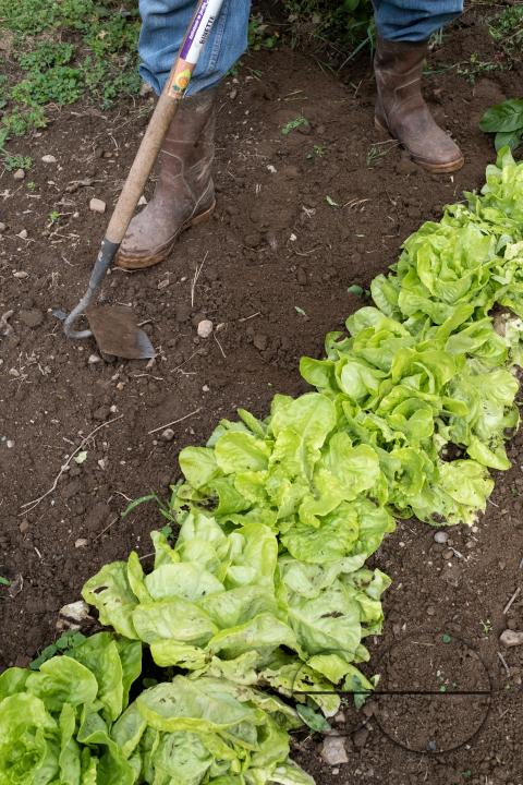 MWC048089