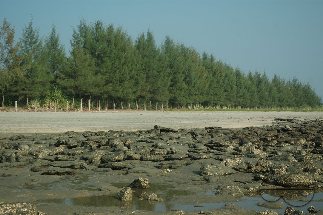 MWC004189
